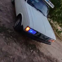 سمپاشی باغ و باغچه