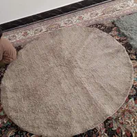 فرش شگی|فرش|کوهدشت, |دیوار