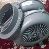 فن حلزونی