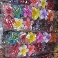 کلیپس پر فروش پلومریا خارجی