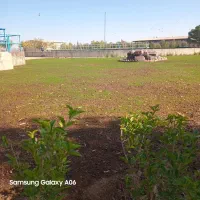 انجام کلیه امور باغبانی|خدمات باغبانی و درختکاری|اراک, |دیوار