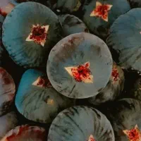 تازه و شیرین