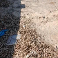 فروش زمین ۲۰۰۰متری در خلازیر|فروش زمین و ملک کلنگی|تهران, خلازیر|دیوار