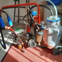 گاو دوش|ابزارآلات|جوانرود, |دیوار