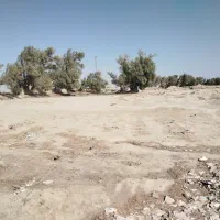 زمین سند دار 12000متری لب جاده کرباسک|فروش زمین و ملک کلنگی|زابل, |دیوار