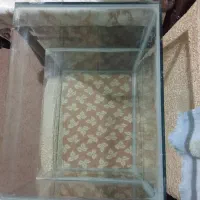 اکواریوم بزرگ با ۱۰۰ماهی مولی و گوپی