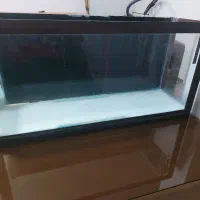 اکواریوم سالم