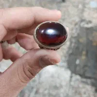 طالع بینی|خدمات پذیرایی، مراسم|بندر ماهشهر, |دیوار