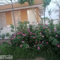 فروش باغ چهار هزار متری