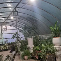 فروش گلخانه|فروشگاه و مغازه|مینودشت, |دیوار