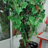 درختچه ی مصنوعی|گل مصنوعی|اصفهان, خواجو|دیوار