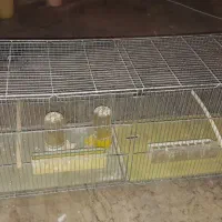 قفس جوجه پرون