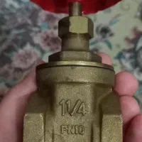 شیر آبی برنجی