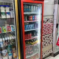 یخچال ویترینی تک درب و لبنیاتی