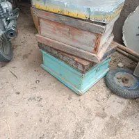 صندوق  زنبور عسل