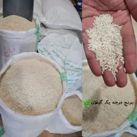 برنج درجه یک گیلان (صدری هاشمی و علی کاظمی)