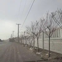 دیواره پیش ساخته بتنی|مصالح و تجهیزات ساختمان|تهران, خلیج فارس|دیوار