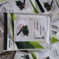 بذر خیار 547 و رویال فرانسه|خدمات باغبانی و درختکاری|عنبرآباد, |دیوار