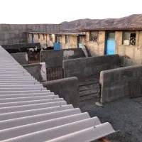 گاوداری  جهت معاوضه(سنندج)