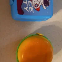 ظرف غذا
