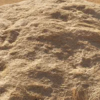 کاه گندم دیم باک بزرگ