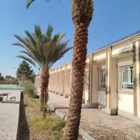 هرس نخل|گل و گیاه طبیعی|اردکان, |دیوار