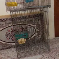 قفس طوطی یا کاسکو و مرغ عشق قناری سهره