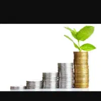 راهنمای میکنم در زمینه مدیریت سرمایه گذاری سود پول