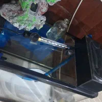 آکواریوم|ماهی|تهران, سردارجنگل|دیوار