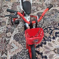 دوچرخه|دوچرخه، اسکیت، اسکوتر|رودخانه, |دیوار