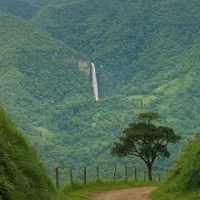 225-متری-ویلایی-دربست