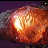 فروش کهربا راف مهمان دار و بدون مهمان