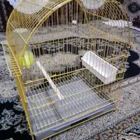قفس پرنده|لوازم جانبی حیوانات|سنندج, |دیوار