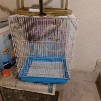 قفس پرنده در حد نو