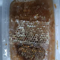 عسل کنار خالص و عسل کنار همراه با موم|عمدهفروشی|لامرد, |دیوار