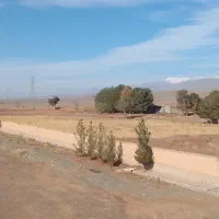 تهاتر-زمین-باپروانه-60واحد