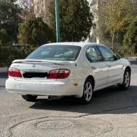 ماکسیما 86 بدون رنگ