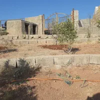 باغ فروشی در روستای مزرعه|فروش خانه و ویلا|صوفیان, |دیوار