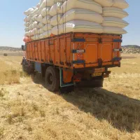کاه گندم دیم درجه یک