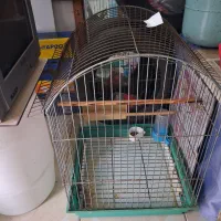 قفس بزرگ پرنده  ارتفاع ۶۰ الی ۷۰ سانت