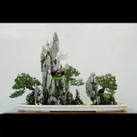 خط رند۶۲۰۰ ۶۰۰ ۰۹۱۵