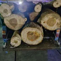 چوب آلات باغی شما را خریداریم