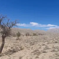 مزرعه دربست
