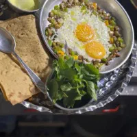 نیروی کار خانم ظرف شویی