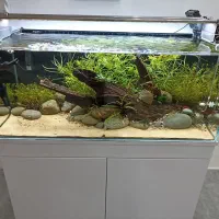 آکواریوم پلنت حرفه ای فروش فوری