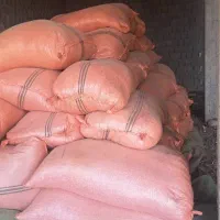 کاه لوبیا وگندم