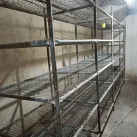 سوله 200متری