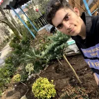 فضای سبز محوطه سازی