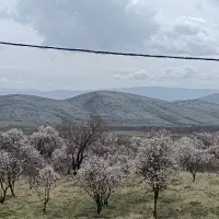 باغچه ۴۵۰ متری /۸۰ متر بنا/ خوشنام اکسیر