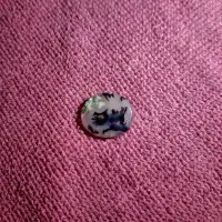 نگین انگشتر شجر|جواهرات|شهریار, شهریار|دیوار